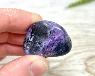 Charoite Pebble #5