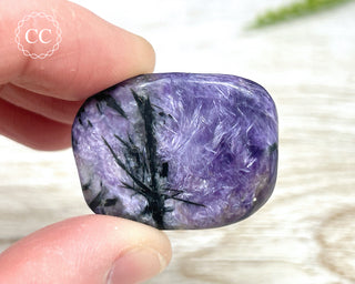 Charoite Pebble #6