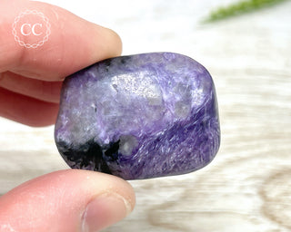 Charoite Pebble #6
