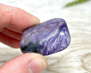Charoite Pebble #6
