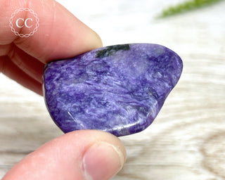 Charoite Pebble #9