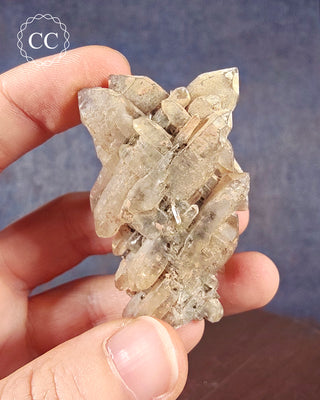 A hand holding a Cheval De Frise Quartz specimen