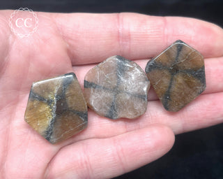 Chiastolite Slice