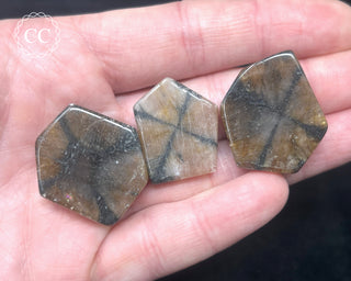 Chiastolite Slice