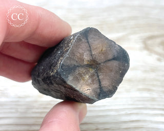 Chiastolite Specimen #2