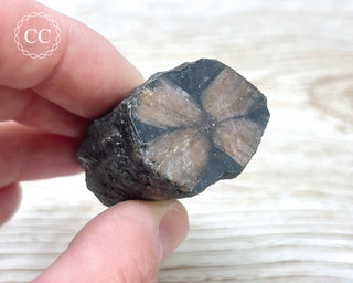 Chiastolite Specimen #3