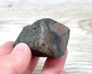 Chiastolite Specimen #4