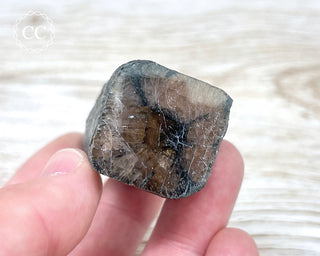 Chiastolite Specimen #4