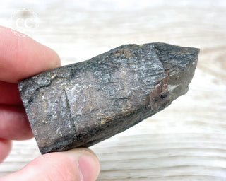 Chiastolite Specimen #4