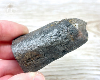Chiastolite Specimen #4