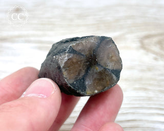 Chiastolite Specimen #5