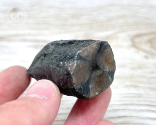 Chiastolite Specimen #5