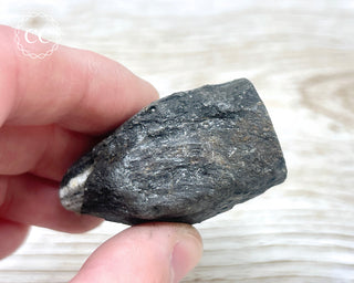 Chiastolite Specimen #5