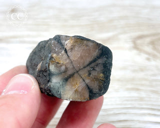 Chiastolite Specimen #6