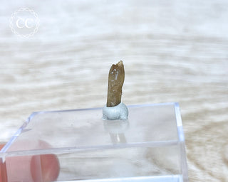 Childrenite Crystal #2