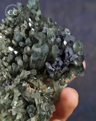Chlorite Included Quartz - Bulgaria #4