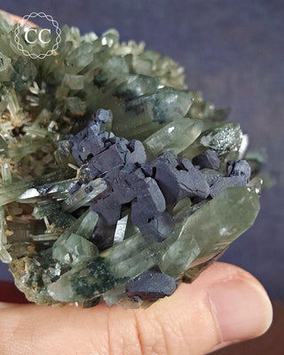 Chlorite Included Quartz - Bulgaria #4