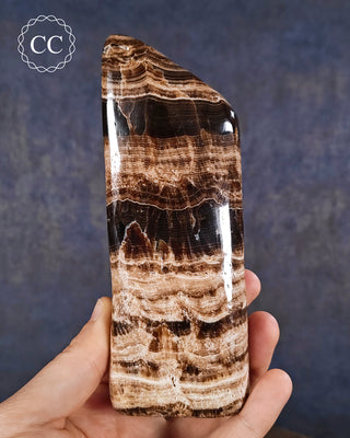 A hand holding a Chocolate Calcite freestanding freeform from Pakistan,