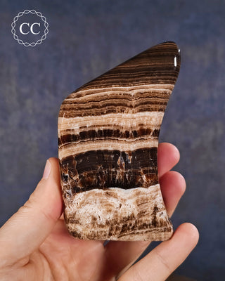 A hand holding a Chocolate Calcite freestanding freeform from Pakistan,