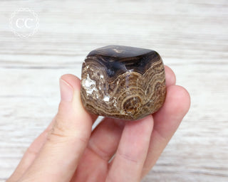 Chocolate Calcite Tumbled Crystal