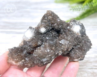 Chocolate Calcite - Mexico #2