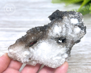 Chocolate Calcite - Mexico #2