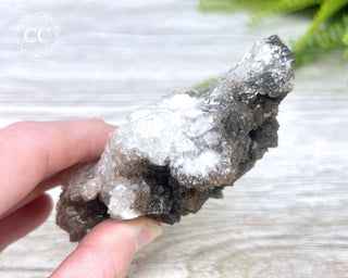 Chocolate Calcite - Mexico #2