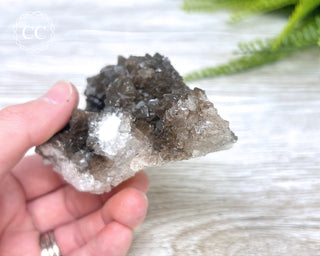 Chocolate Calcite - Mexico #2