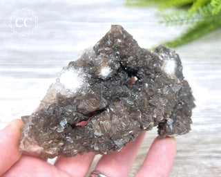 Chocolate Calcite - Mexico #2