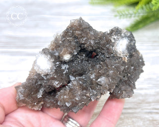 Chocolate Calcite - Mexico #2