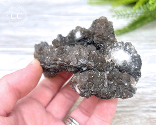 Chocolate Calcite - Mexico #2