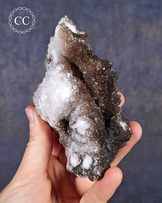 Chocolate Calcite - Mexico #2
