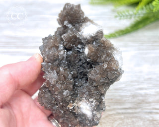 Chocolate Calcite - Mexico #2