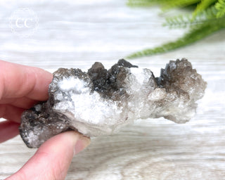 Chocolate Calcite - Mexico #2