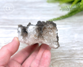 Chocolate Calcite - Mexico #2