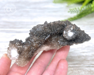 Chocolate Calcite - Mexico #2