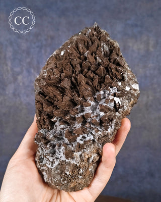 A hand holding a Dogstooth Calcite specimen from Mexico