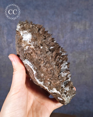 Chocolate Dogtooth Calcite #1