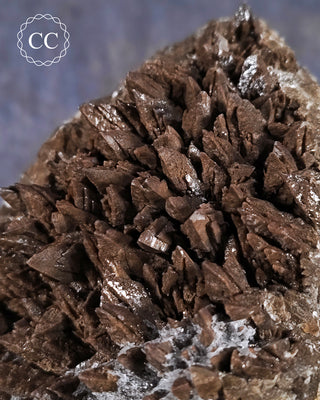 Chocolate Dogtooth Calcite #1