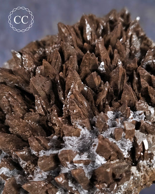 Chocolate Dogtooth Calcite #1