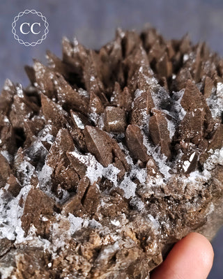 Chocolate Dogtooth Calcite #1