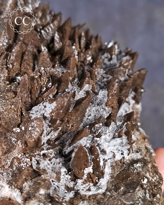 Chocolate Dogtooth Calcite #1