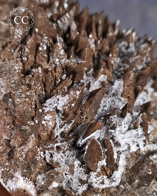 Chocolate Dogtooth Calcite #1