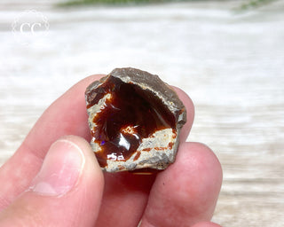Chocolate Opal - Ethiopia #1