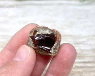 Chocolate Opal - Ethiopia #2