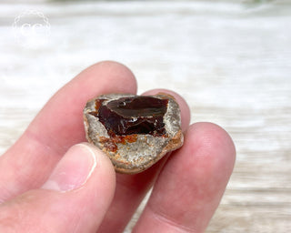 Chocolate Opal - Ethiopia #2