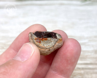 Chocolate Opal - Ethiopia #2