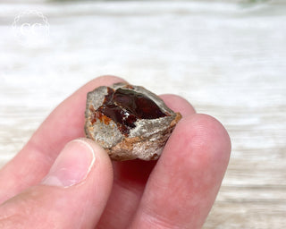 Chocolate Opal - Ethiopia #2