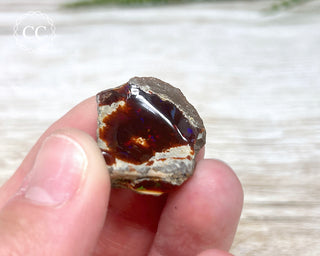 Chocolate Opal - Ethiopia #1