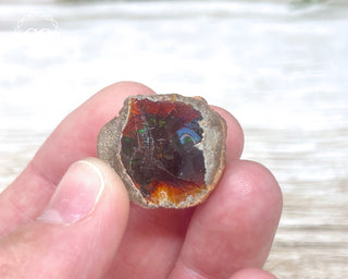 Chocolate Opal - Ethiopia #3